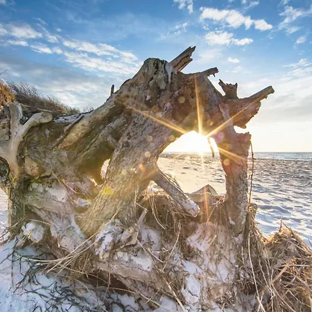 Seerose 5-sterne-ferienwohnung Erholung Zwischen Ostsee Und Bodden Apartamento